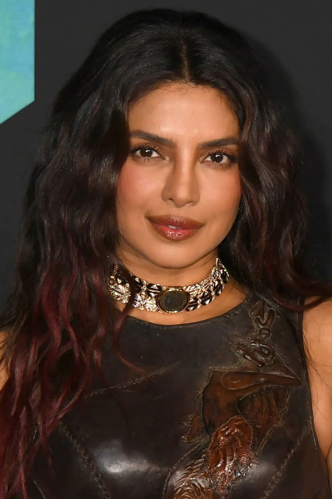 Priyanka Chopra Jonas profile