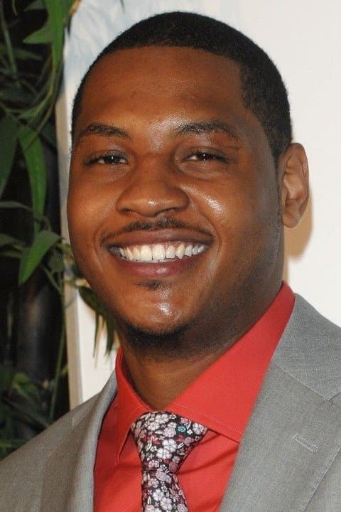 Carmelo Anthony profile