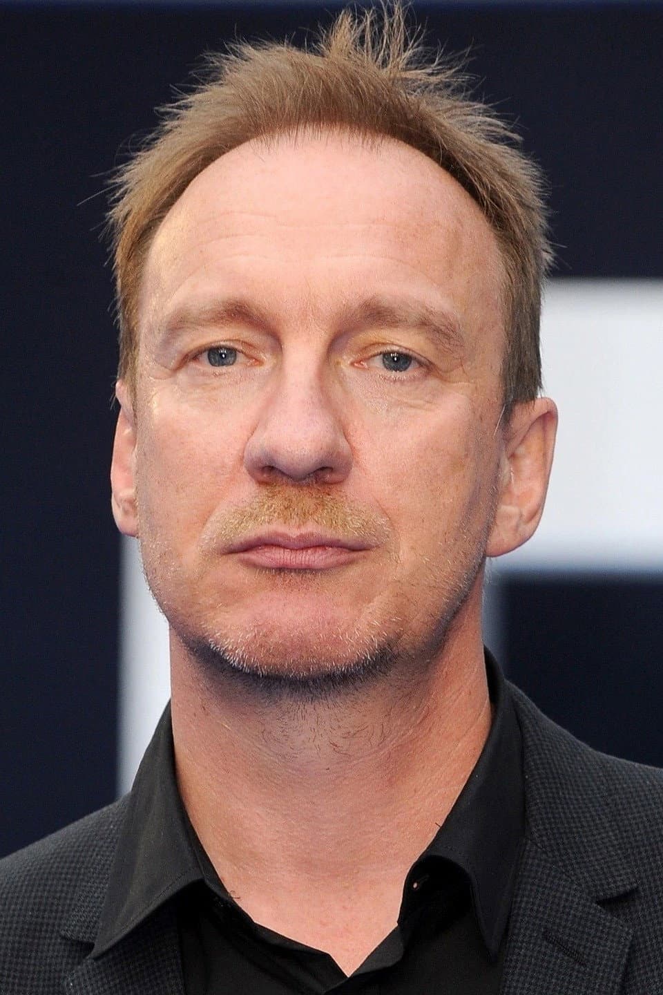 David Thewlis profile