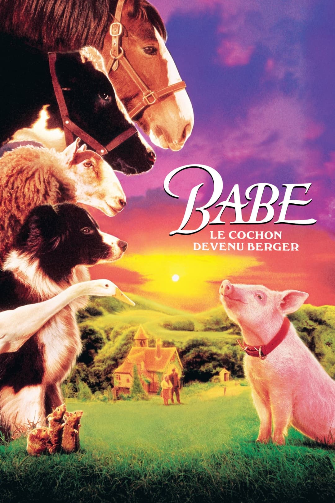 Babe, le cochon devenu berger
